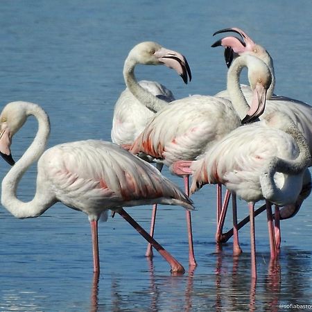 Flamingo'S Bay Hotel Corroios Kültér fotó